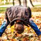 Zeit für einen Perspektivwechsel – Den Herbst mit Kinderaugen sehen